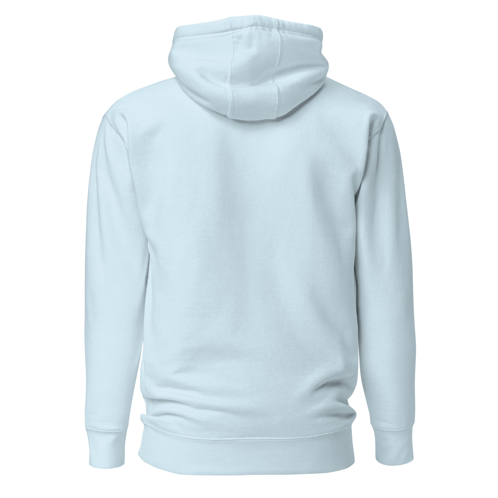 unisex-premium-hoodie-sky-blue-back-6634ed4490322.jpg