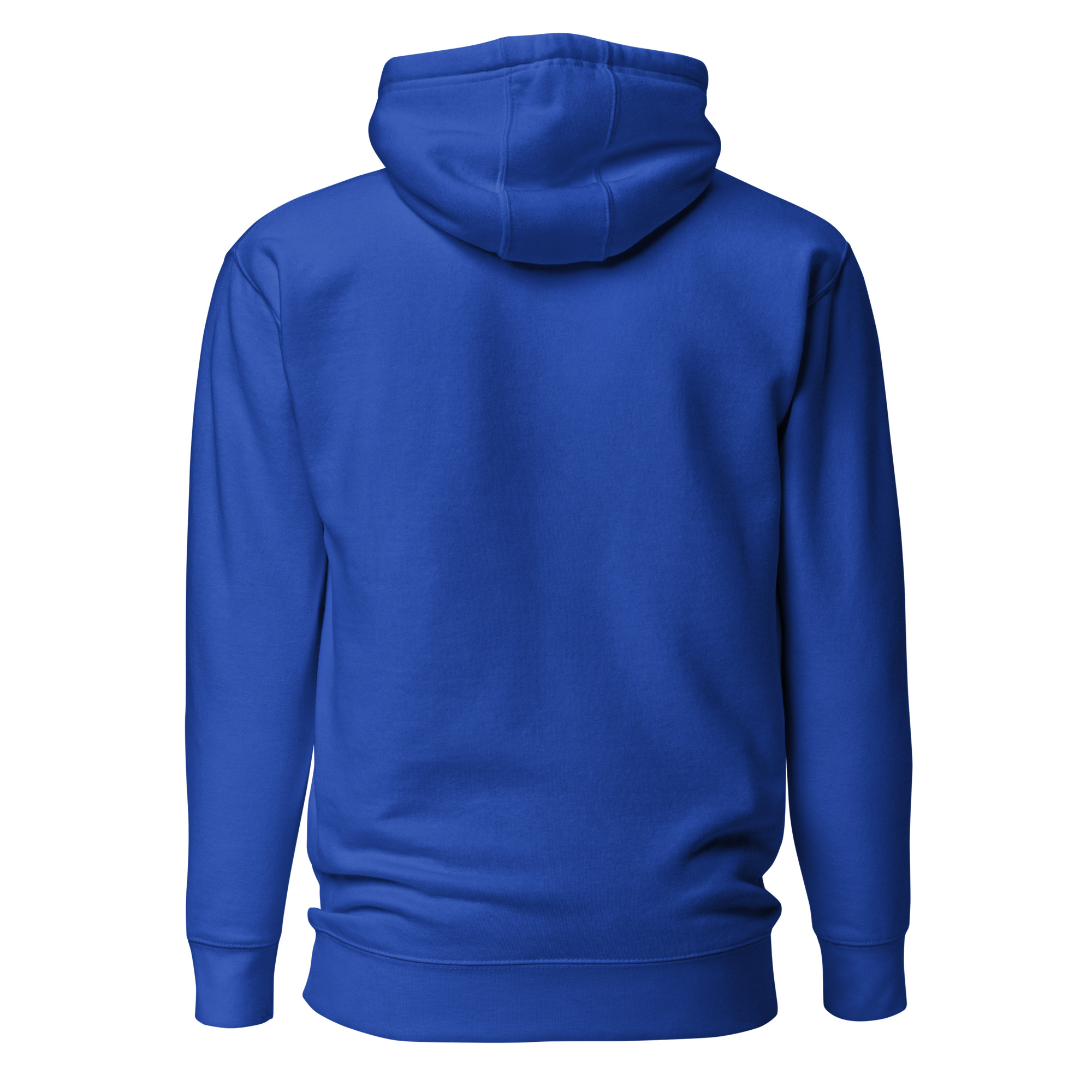 unisex-premium-hoodie-team-royal-back-6634e620c03bc.jpg
